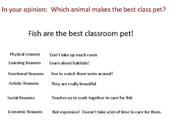 In your opinion: Which animal makes the best class pet? Fish are the best