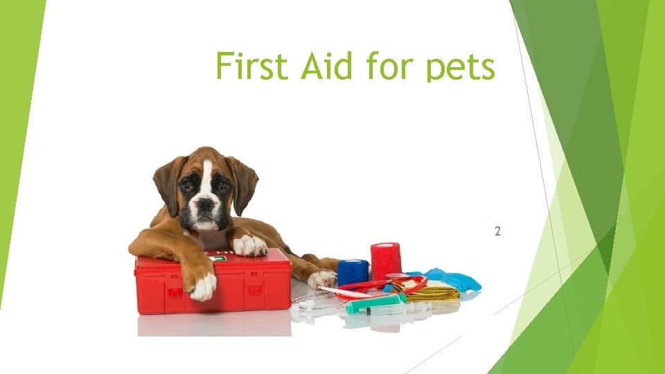 First Aid for pets Week 2 