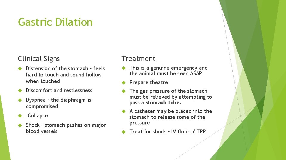 Gastric Dilation Clinical Signs Treatment Distension of the stomach – feels hard to touch