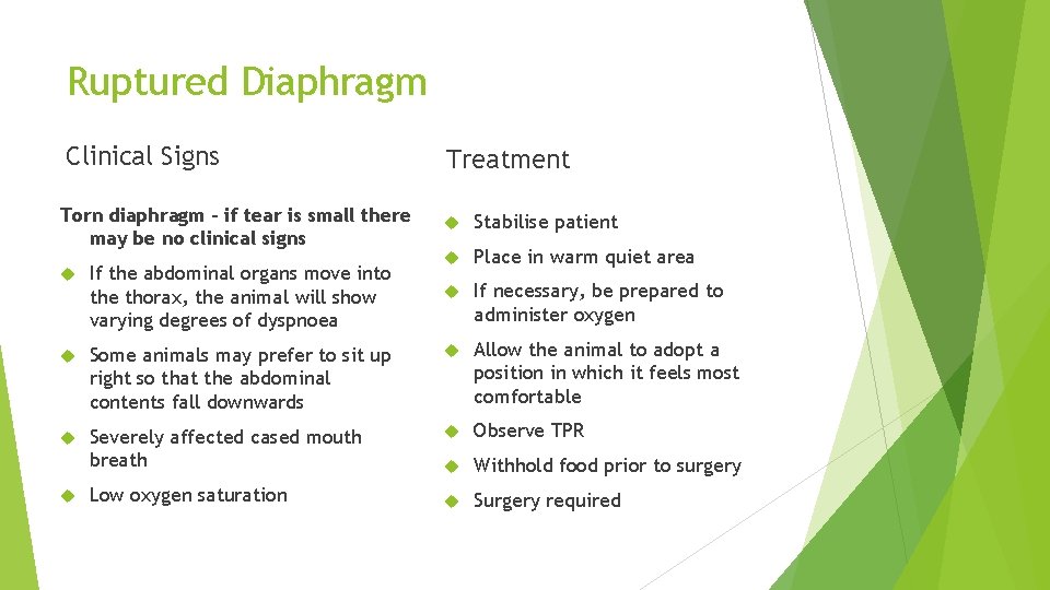 Ruptured Diaphragm Clinical Signs Treatment Torn diaphragm – if tear is small there may