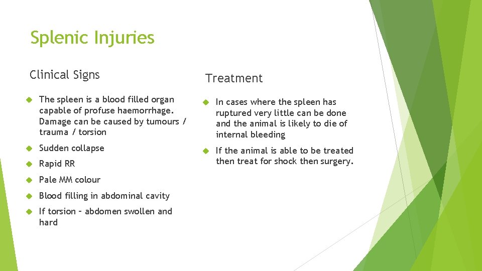 Splenic Injuries Clinical Signs The spleen is a blood filled organ capable of profuse