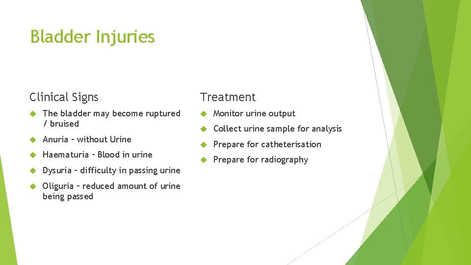 Bladder Injuries Clinical Signs The bladder may become ruptured / bruised Anuria – without