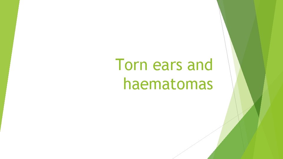 Torn ears and haematomas 