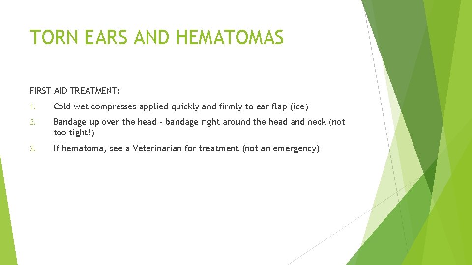 TORN EARS AND HEMATOMAS FIRST AID TREATMENT: 1. Cold wet compresses applied quickly and