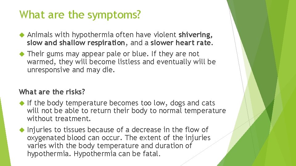 What are the symptoms? Animals with hypothermia often have violent shivering, slow and shallow