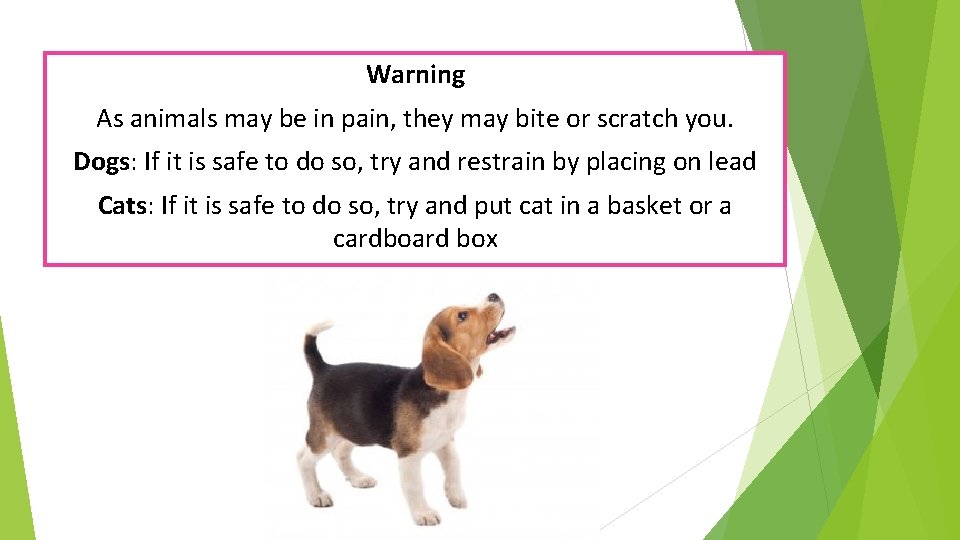 Warning As animals may be in pain, they may bite or scratch you. Dogs: