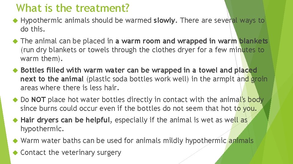 What is the treatment? Hypothermic animals should be warmed slowly. There are several ways