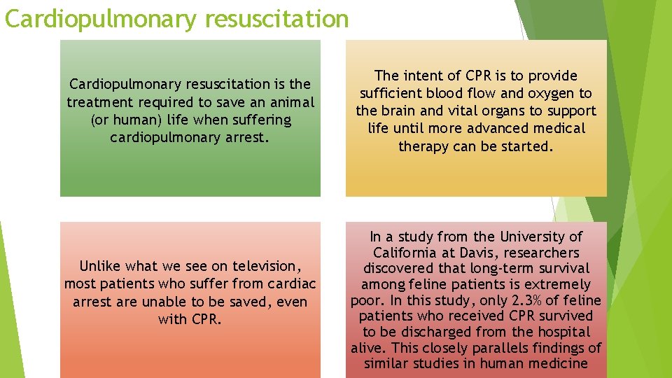 Cardiopulmonary resuscitation is the treatment required to save an animal (or human) life when