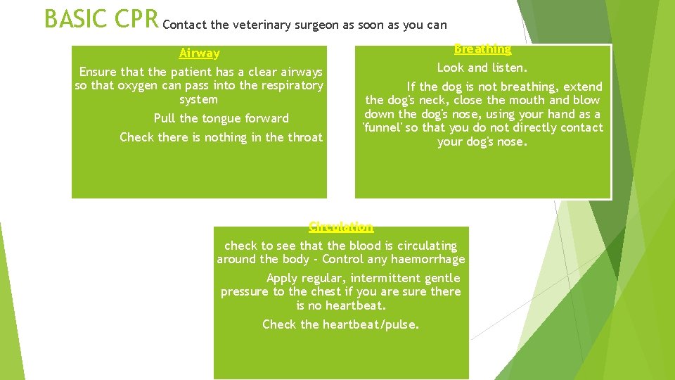 BASIC CPR Contact the veterinary surgeon as soon as you can Airway Breathing Ensure