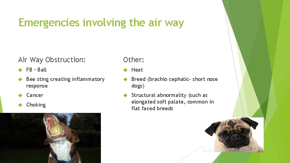 Emergencies involving the air way Air Way Obstruction: Other: FB – Ball Heat Bee