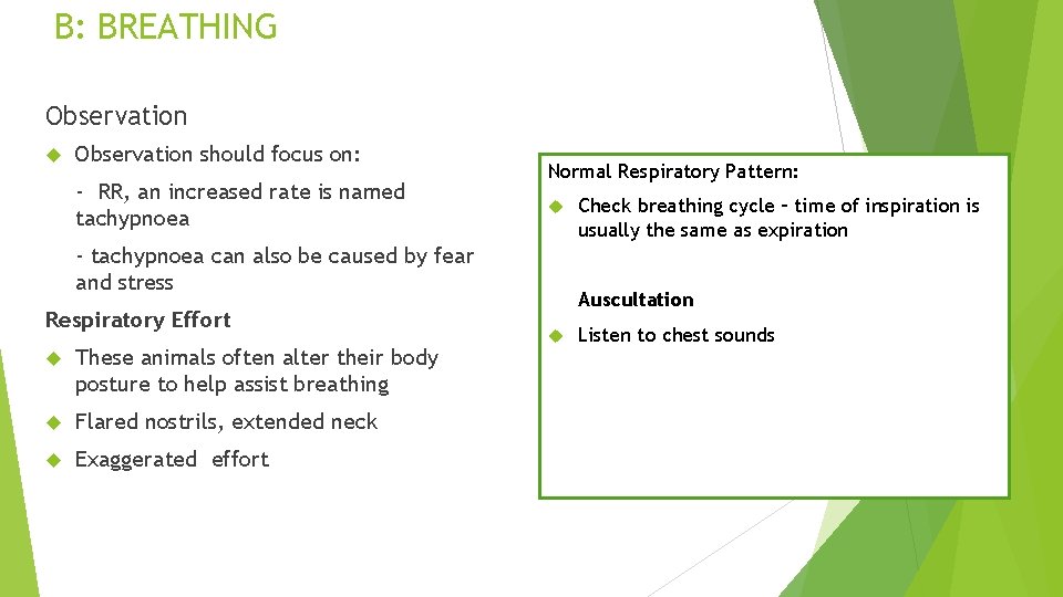 B: BREATHING Observation should focus on: - RR, an increased rate is named tachypnoea