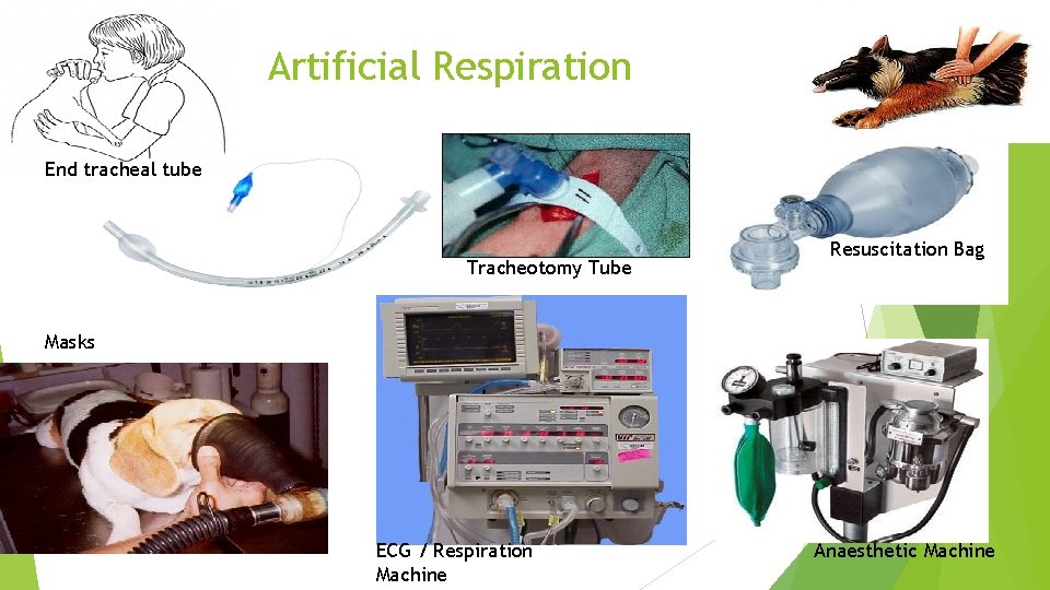 Artificial Respiration End tracheal tube Tracheotomy Tube Resuscitation Bag Masks ECG / Respiration Machine