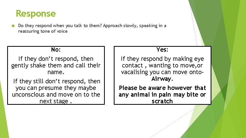 Response Do they respond when you talk to them? Approach slowly, speaking in a