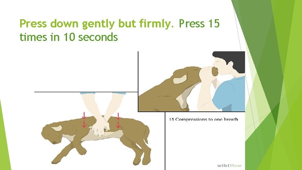 Press down gently but firmly. Press 15 times in 10 seconds 