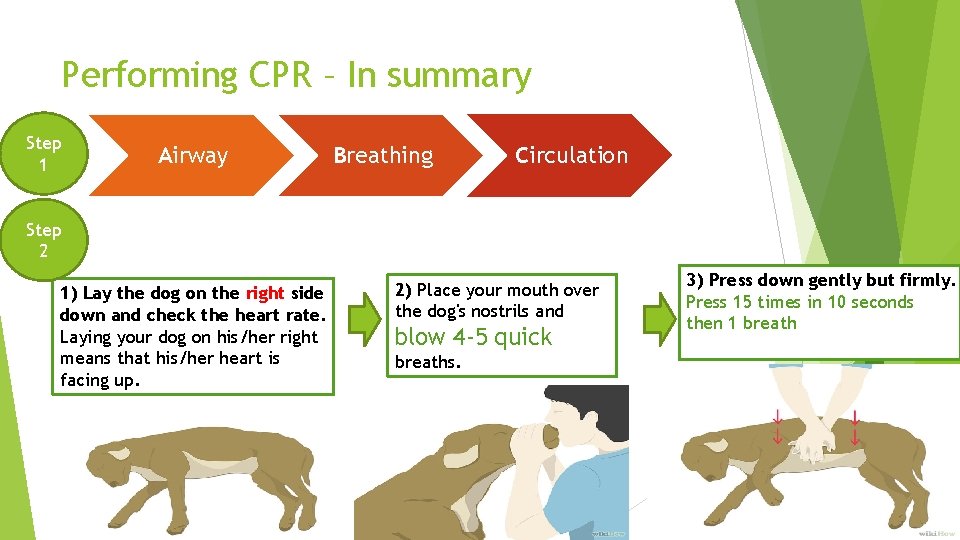 Performing CPR – In summary Step 1 Airway Breathing Circulation Step 2 1) Lay