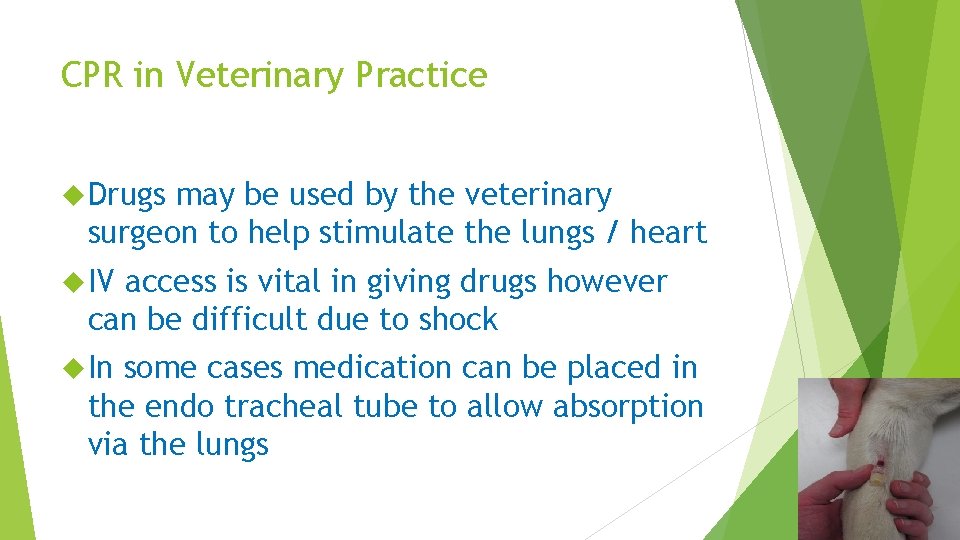 CPR in Veterinary Practice Drugs may be used by the veterinary surgeon to help