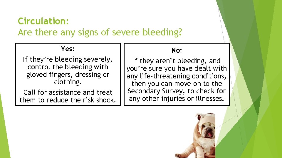 Circulation: Are there any signs of severe bleeding? Yes: No: If they’re bleeding severely,