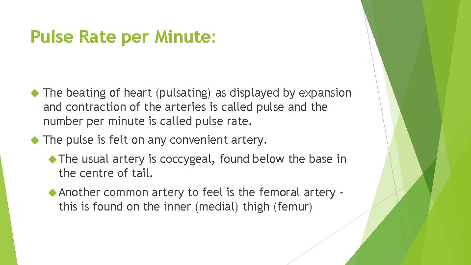 Pulse Rate per Minute: The beating of heart (pulsating) as displayed by expansion and