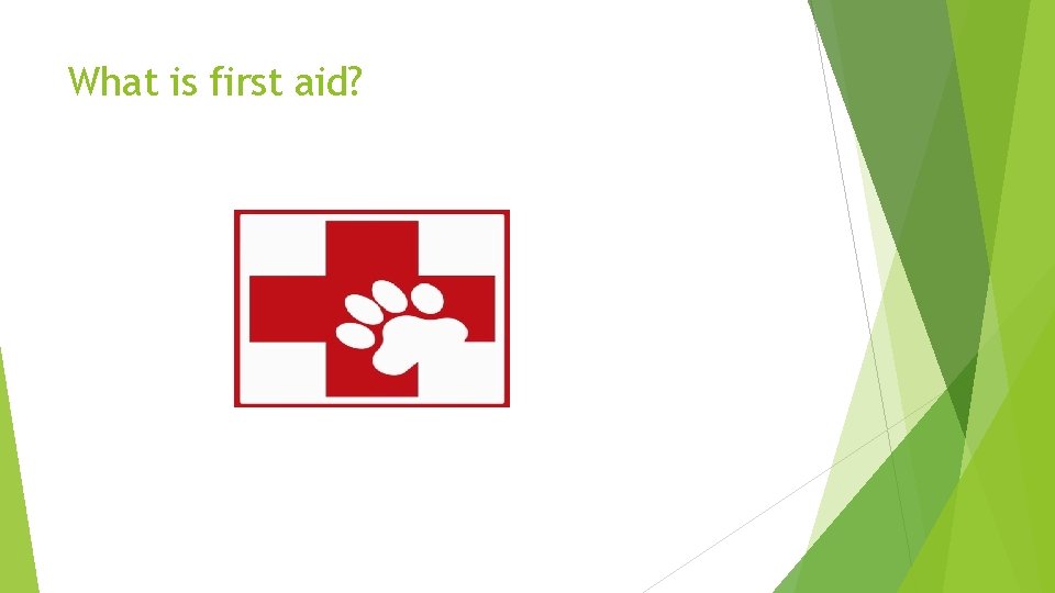 What is first aid? 