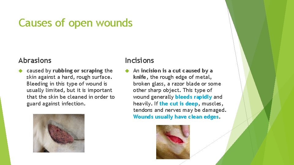 Causes of open wounds Abrasions caused by rubbing or scraping the skin against a