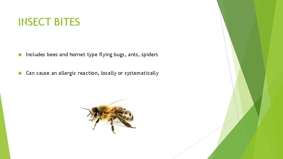 INSECT BITES Includes bees and hornet type flying bugs, ants, spiders Can cause an