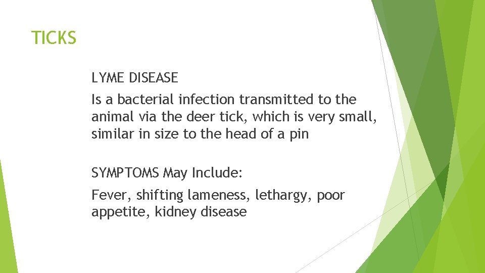 TICKS LYME DISEASE Is a bacterial infection transmitted to the animal via the deer