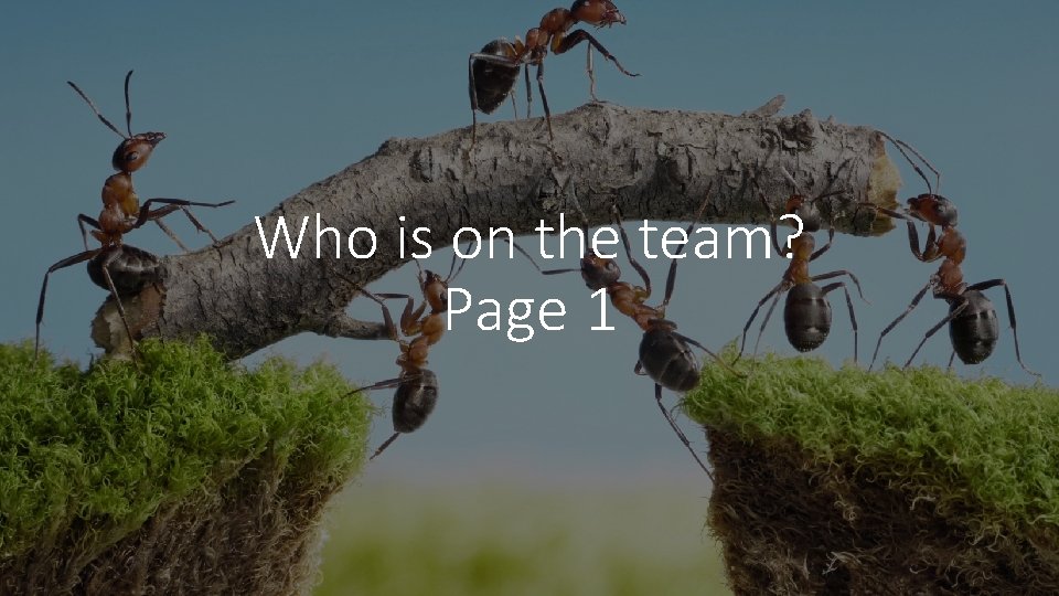 Who is on the team? Page 1 