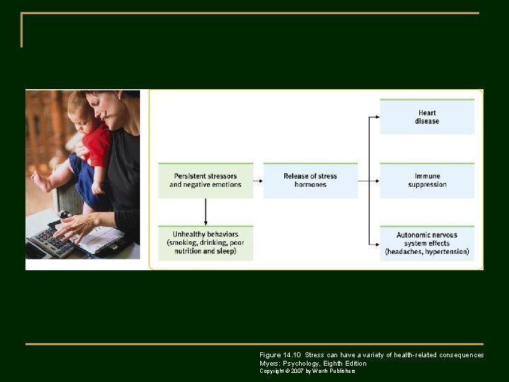 Figure 14. 10 Stress can have a variety of health-related consequences Myers: Psychology, Eighth