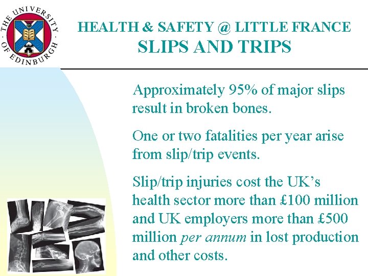 HEALTH & SAFETY @ LITTLE FRANCE SLIPS AND TRIPS Approximately 95% of major slips
