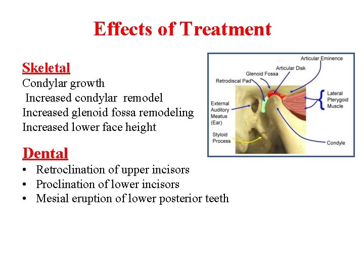 Effects of Treatment Skeletal Condylar growth Increased condylar remodel Increased glenoid fossa remodeling Increased