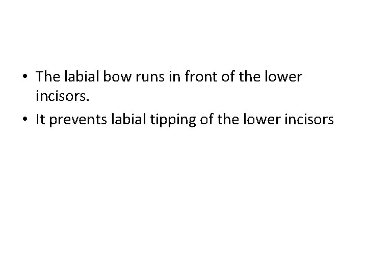  • The labial bow runs in front of the lower incisors. • It