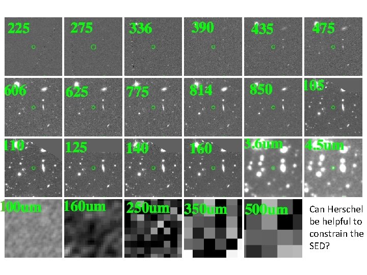 1 Can Herschel be helpful to constrain the SED? 