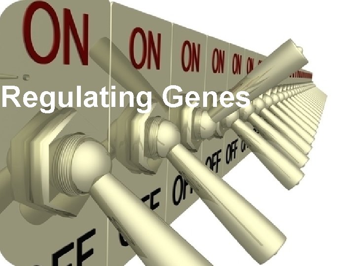 Regulating Genes 