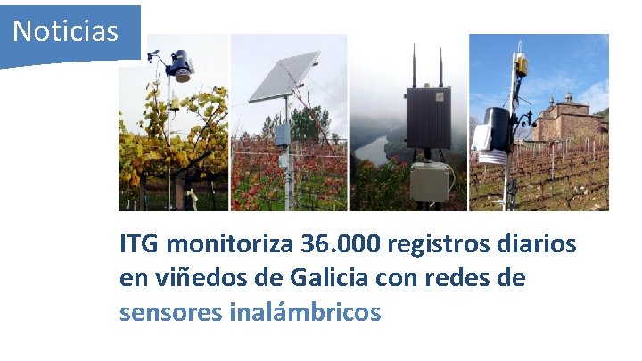 Noticias ITG monitoriza 36. 000 registros diarios en viñedos de Galicia con redes de