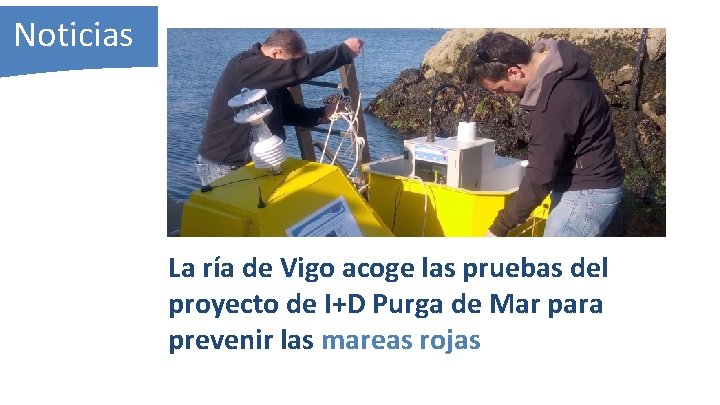 Noticias La ría de Vigo acoge las pruebas del proyecto de I+D Purga de