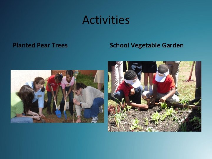 Activities Planted Pear Trees School Vegetable Garden 