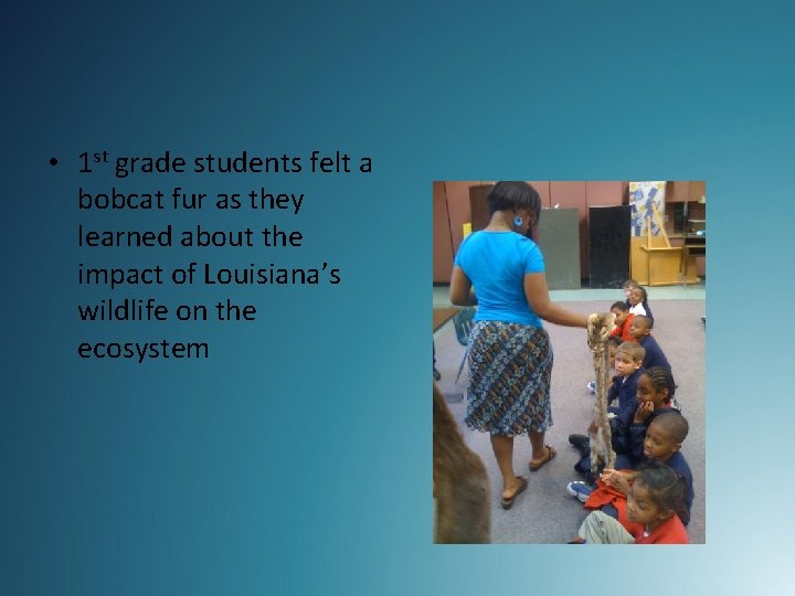  • 1 st grade students felt a bobcat fur as they learned about