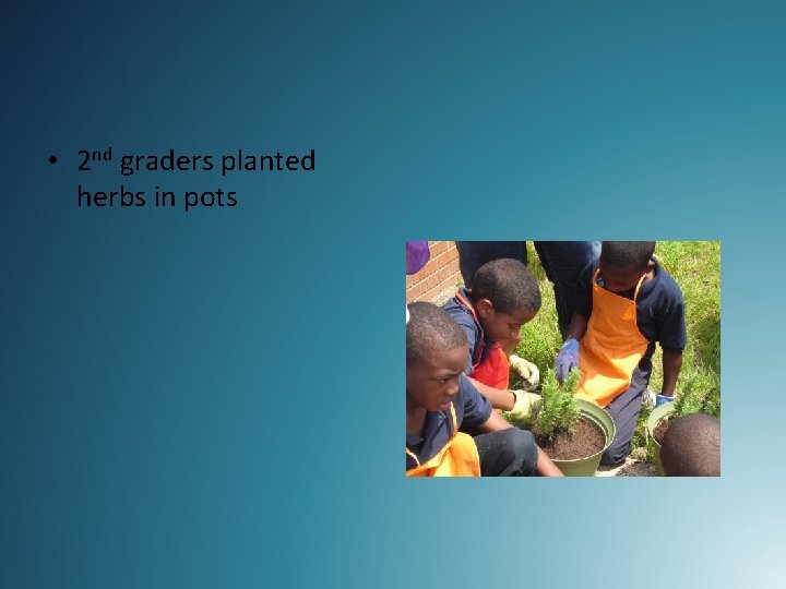  • 2 nd graders planted herbs in pots 