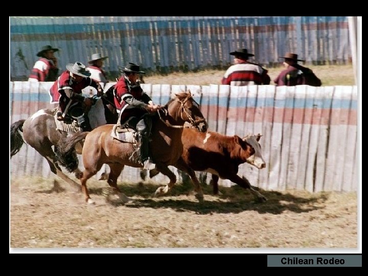 Chilean Rodeo 