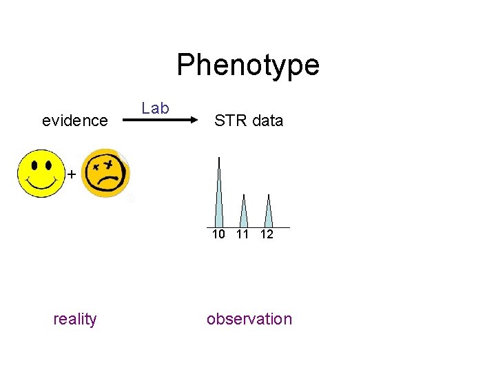 Phenotype evidence Lab STR data + 10 11 12 reality observation 