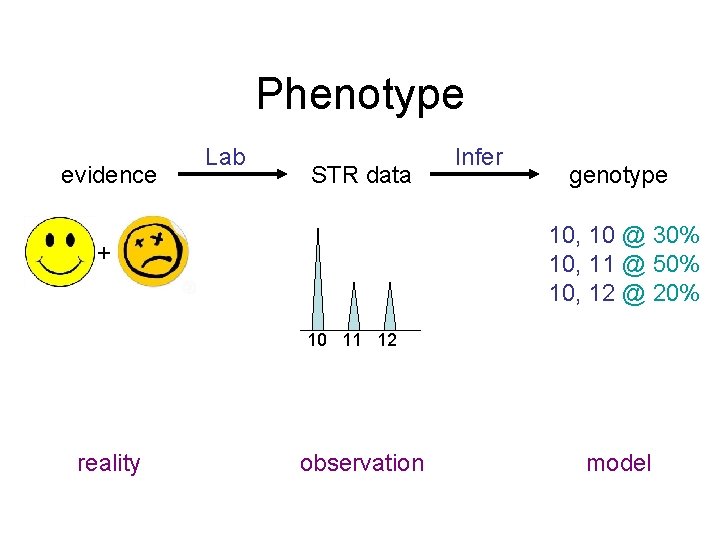 Phenotype evidence Lab STR data Infer genotype 10, 10 @ 30% 10, 11 @