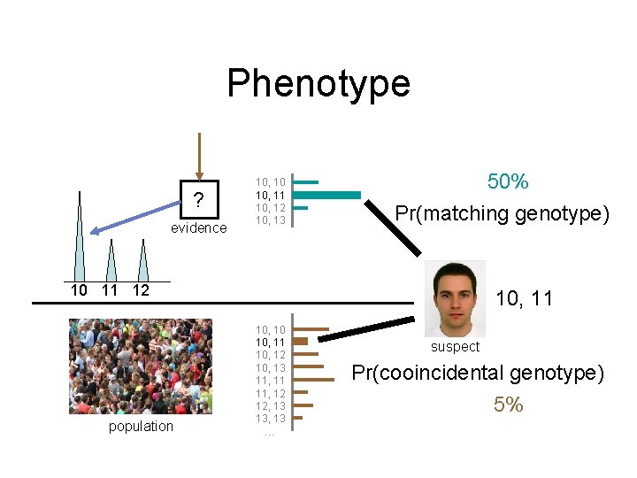 Phenotype ? evidence 10, 10 10, 11 10, 12 10, 13 50% Pr(matching genotype)