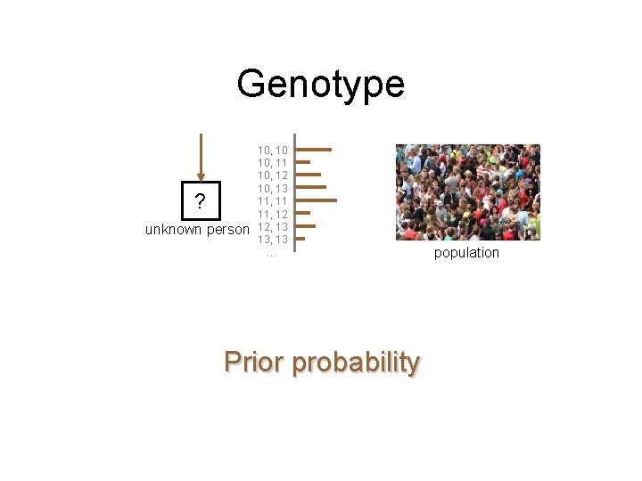 Genotype ? unknown person 10, 10 10, 11 10, 12 10, 13 11, 11