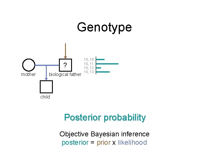 Genotype ? mother biological father 10, 10 10, 11 10, 12 10, 13 child