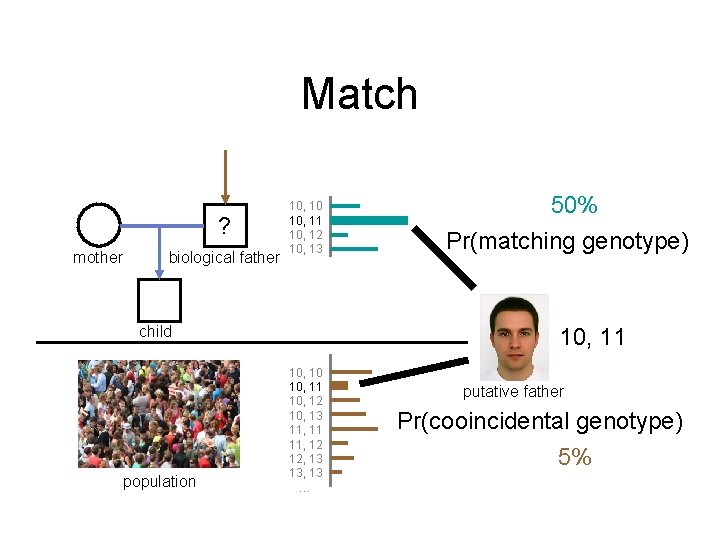 Match ? mother biological father 10, 10 10, 11 10, 12 10, 13 child