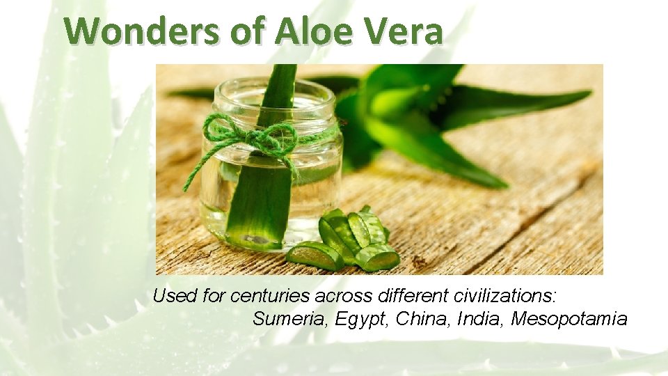 Wonders of Aloe Vera Used for centuries across different civilizations: Sumeria, Egypt, China, India,