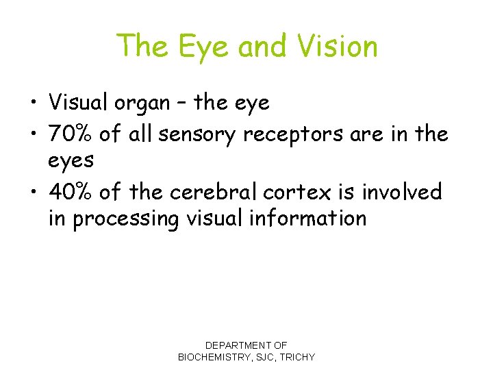 The Eye and Vision • Visual organ – the eye • 70% of all