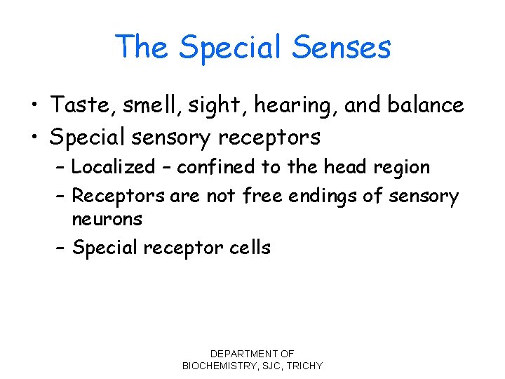 The Special Senses • Taste, smell, sight, hearing, and balance • Special sensory receptors