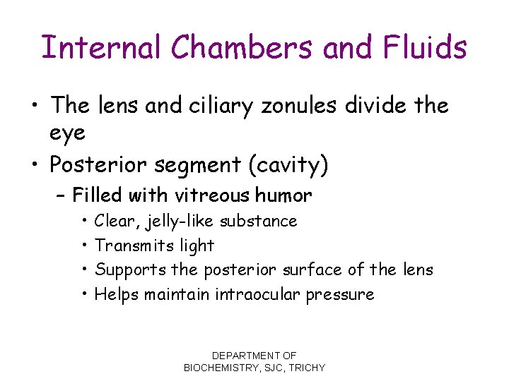 Internal Chambers and Fluids • The lens and ciliary zonules divide the eye •
