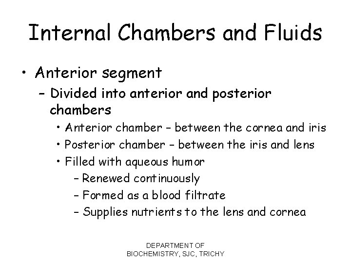 Internal Chambers and Fluids • Anterior segment – Divided into anterior and posterior chambers